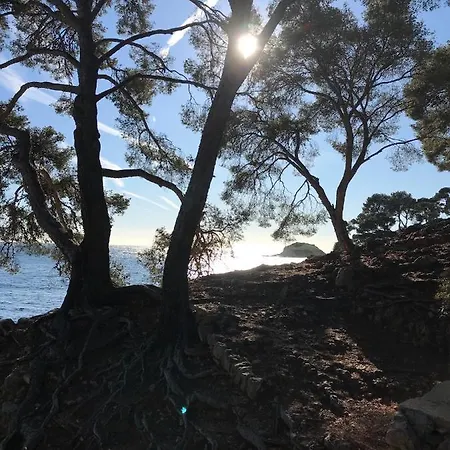 Lucienne Bandol, Maison D'architecte, 5 Etoiles, Calanques *